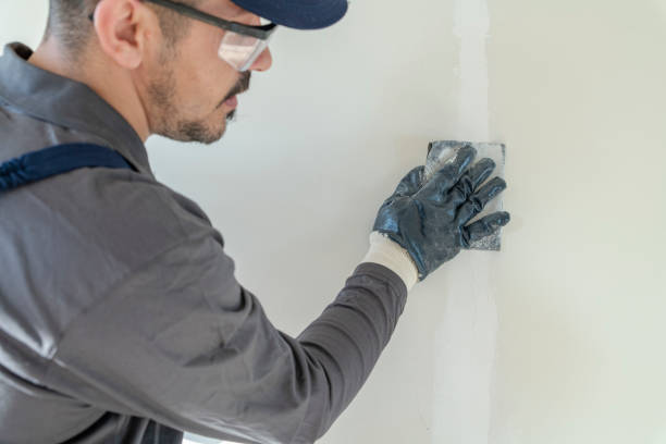 Best Emergency Mold Remediation  in St Leo, FL